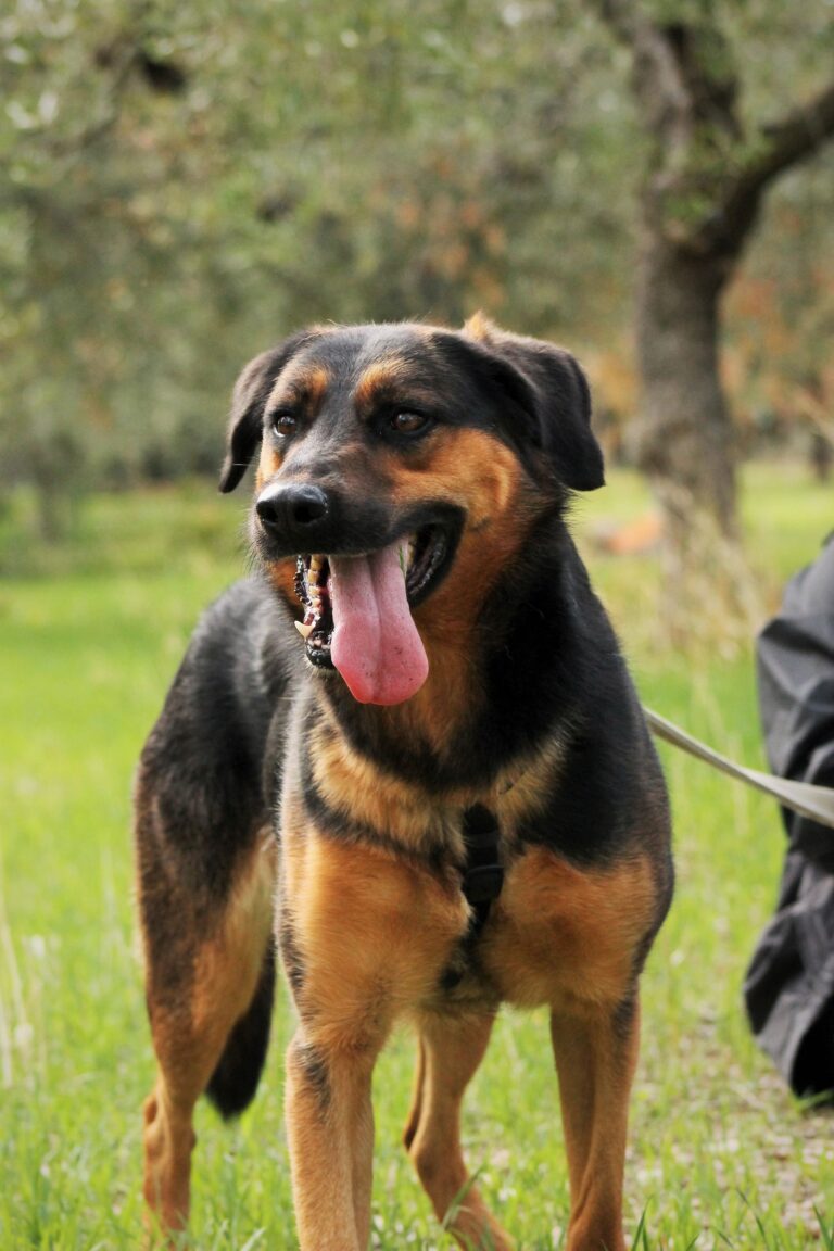 Martina (4)